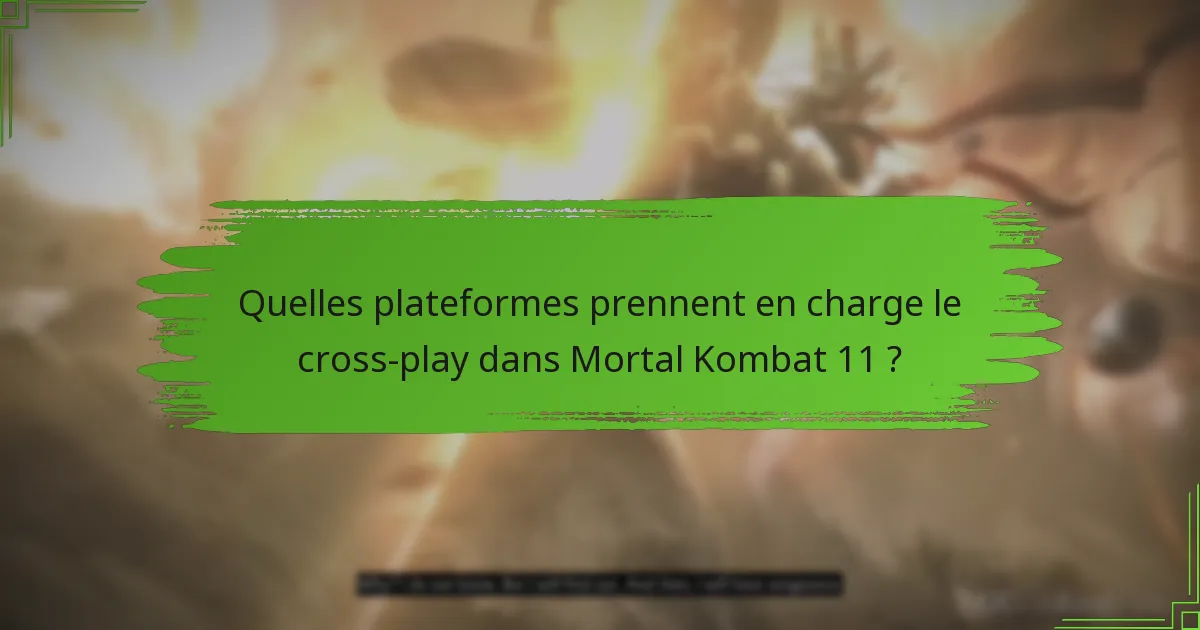 Quel contenu supplémentaire puis-je acheter pour Mortal Kombat 11 ?