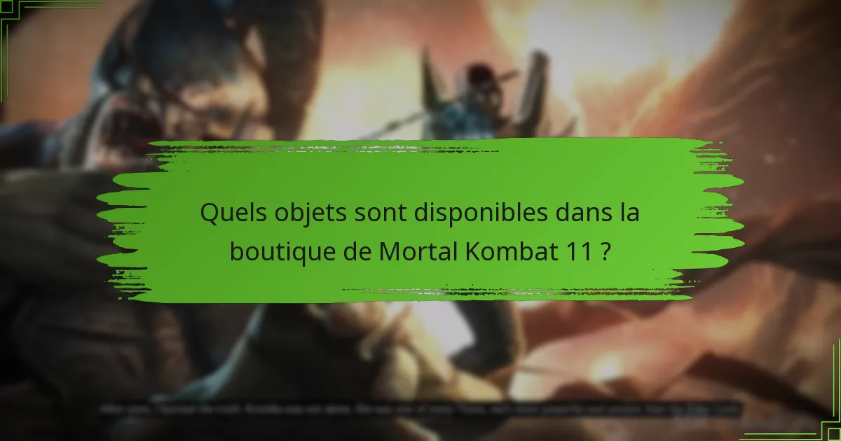 Quels objets sont disponibles dans la boutique de Mortal Kombat 11 ?